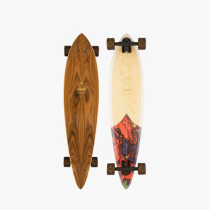 groundswell fish arbor skateboard schweiz kaufen